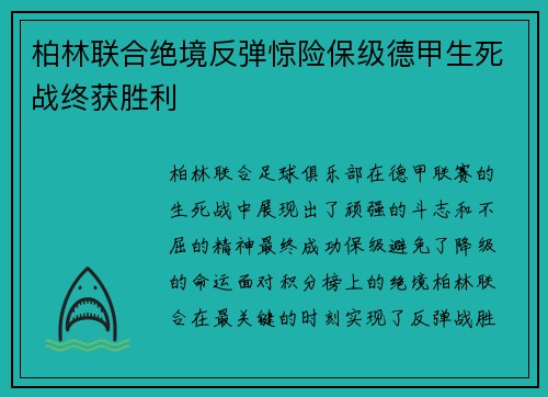 柏林联合绝境反弹惊险保级德甲生死战终获胜利 柏林联合绝境反弹惊险保级德甲生死战终获胜利