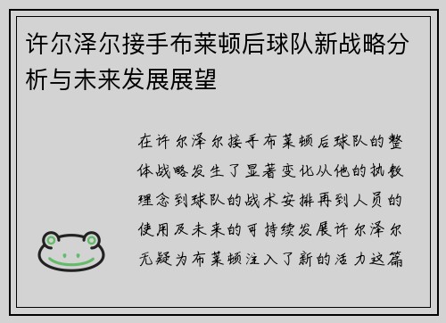 许尔泽尔接手布莱顿后球队新战略分析与未来发展展望