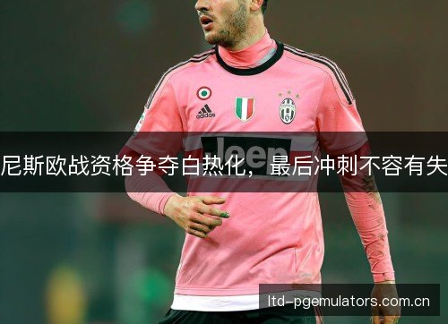 尼斯欧战资格争夺白热化，最后冲刺不容有失
