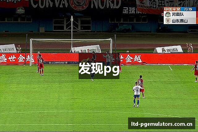 发现pg